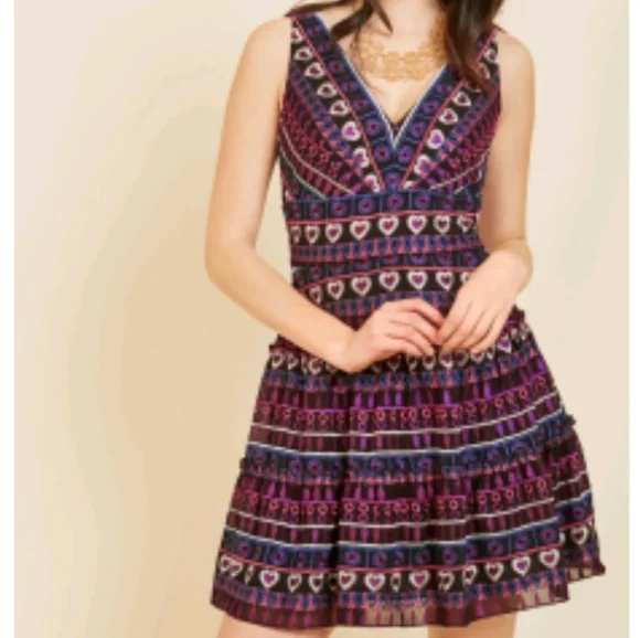 Anna Sui jubilant reunion a-line designer dress NWT SZ 6 - Picture 2 of 9